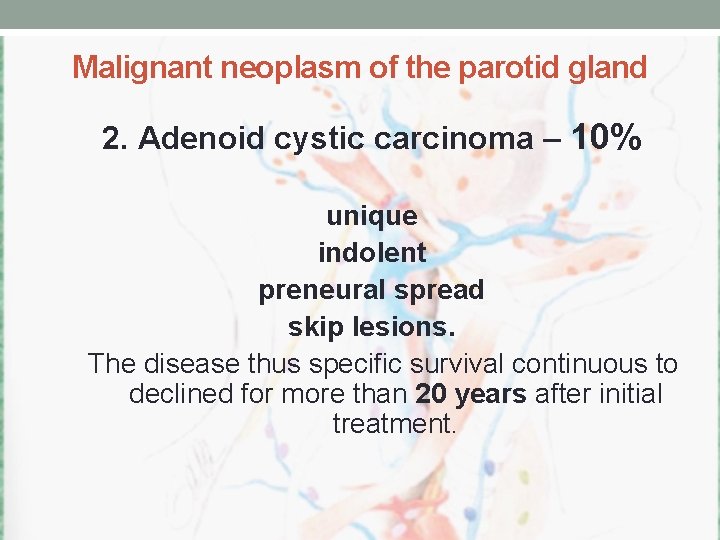 Malignant neoplasm of the parotid gland 2. Adenoid cystic carcinoma – 10% unique indolent