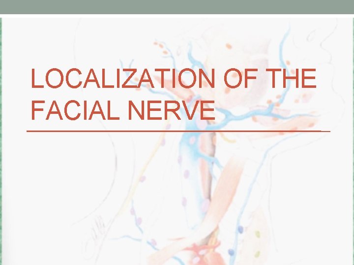 LOCALIZATION OF THE FACIAL NERVE 