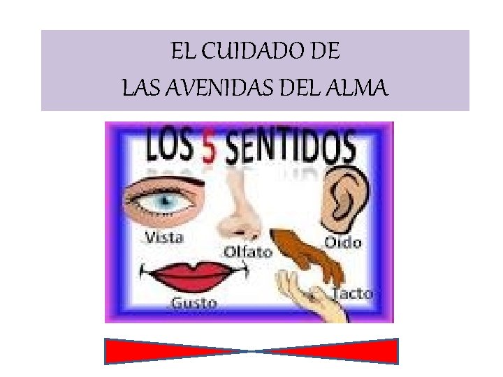 EL CUIDADO DE LAS AVENIDAS DEL ALMA 