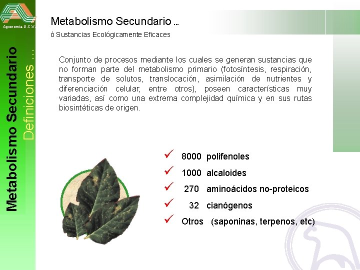 Agronomía-U. C. V. Metabolismo Secundario … Metabolismo Secundario Definiciones … ó Sustancias Ecológicamente Eficaces