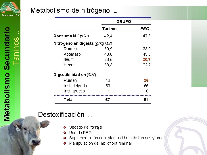 Metabolismo de nitrógeno . . . Agronomía-U. C. V. Metabolismo Secundario Taninos … GRUPO