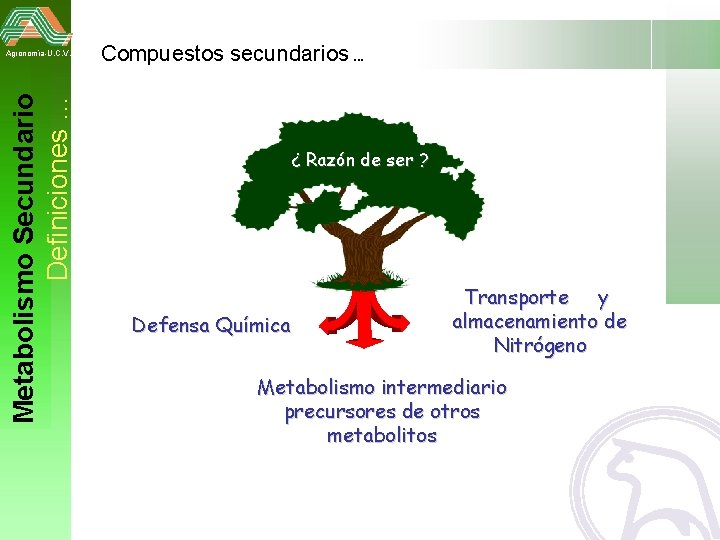 Metabolismo Secundario Definiciones … Agronomía-U. C. V. Compuestos secundarios … ¿ Razón de ser