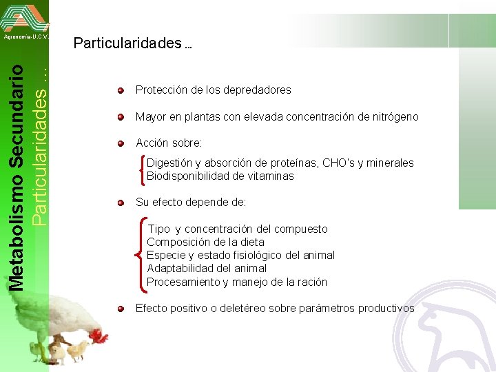 Metabolismo Secundario Particularidades … Agronomía-U. C. V. Particularidades … Protección de los depredadores Mayor