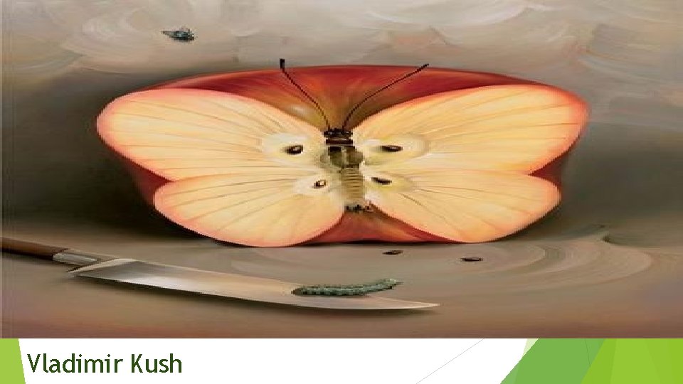 Vladimir Kush Vladimir Kush