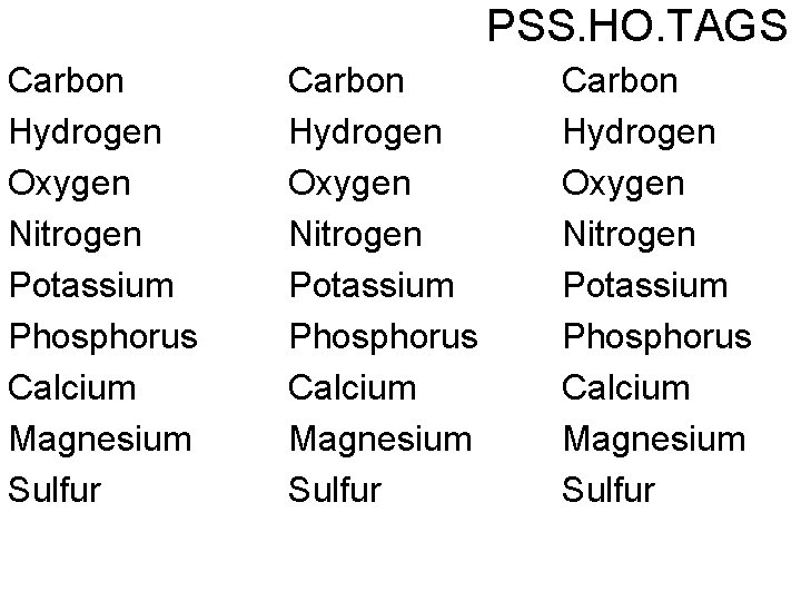 PSS. HO. TAGS Carbon Hydrogen Oxygen Nitrogen Potassium Phosphorus Calcium Magnesium Sulfur 