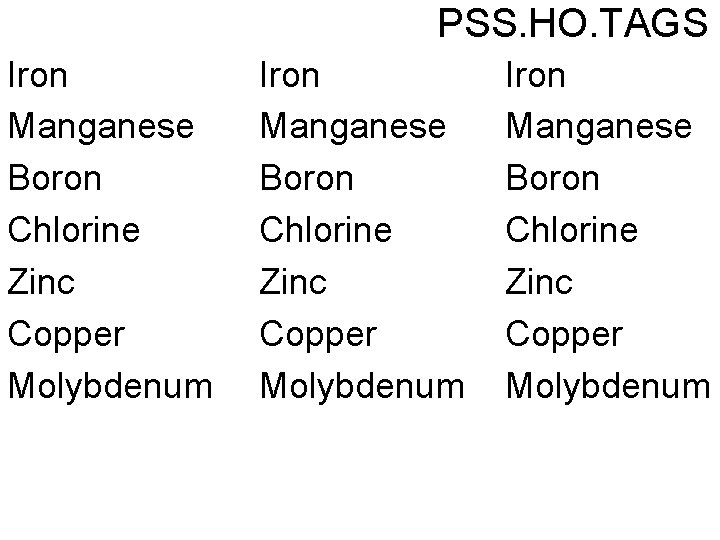 PSS. HO. TAGS Iron Manganese Boron Chlorine Zinc Copper Molybdenum 