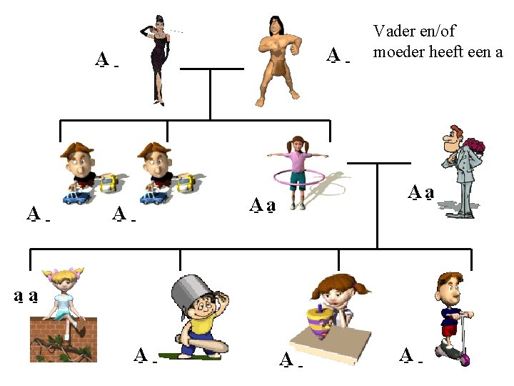 A - - Vader en/of moeder heeft een a A - a - a-