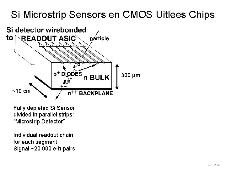 Si Microstrip Sensors en CMOS Uitlees Chips 300 µm ~10 cm Fully depleted Si