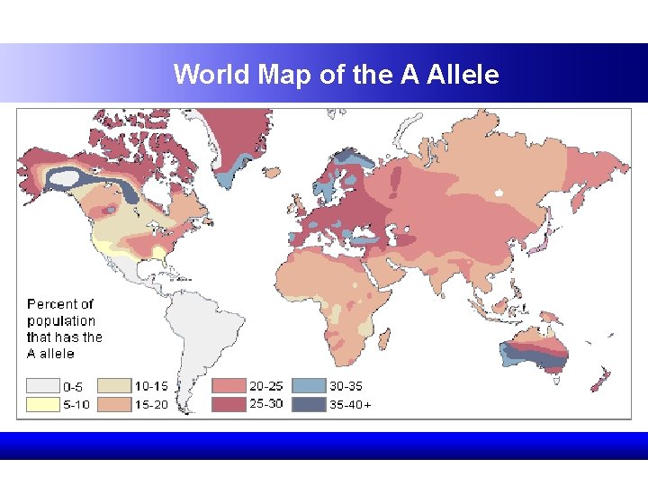 World Map of the A Allele 