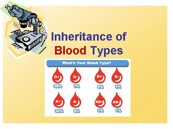 Inheritance of Blood Types 