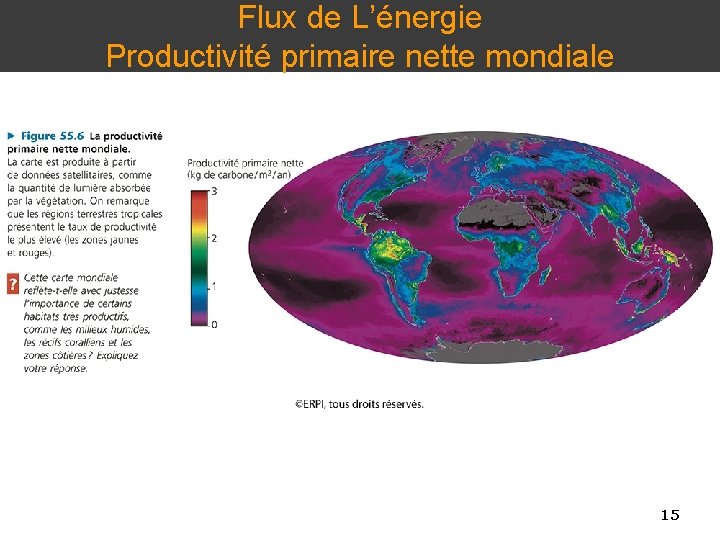 Flux de L’énergie Productivité primaire nette mondiale 15 15 