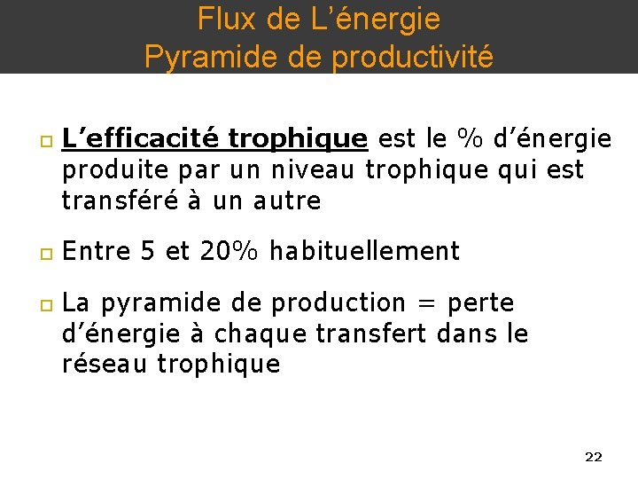 Flux de L’énergie Pyramide de productivité L’efficacité trophique est le % d’énergie produite par