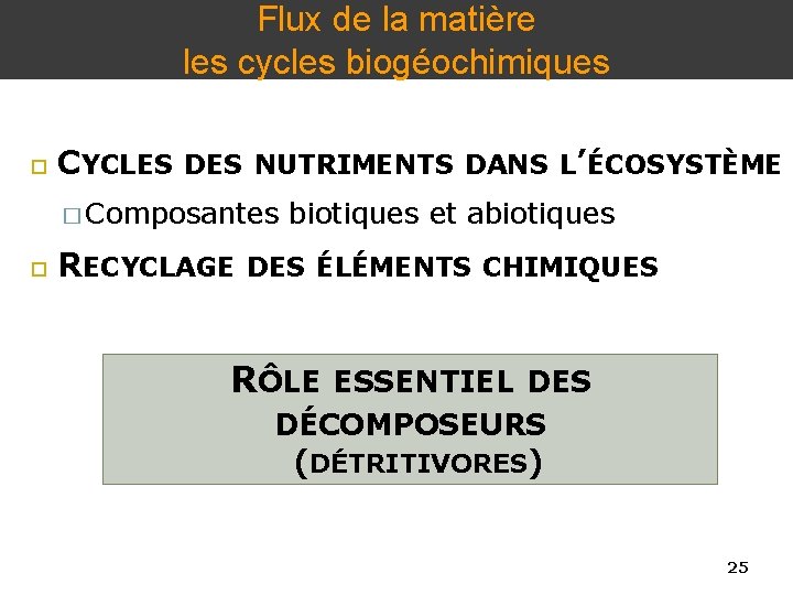 Flux de la matière les cycles biogéochimiques CYCLES DES NUTRIMENTS DANS L’ÉCOSYSTÈME � Composantes