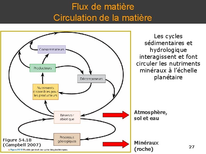 Flux de matière Circulation de la matière Les cycles sédimentaires et hydrologique interagissent et