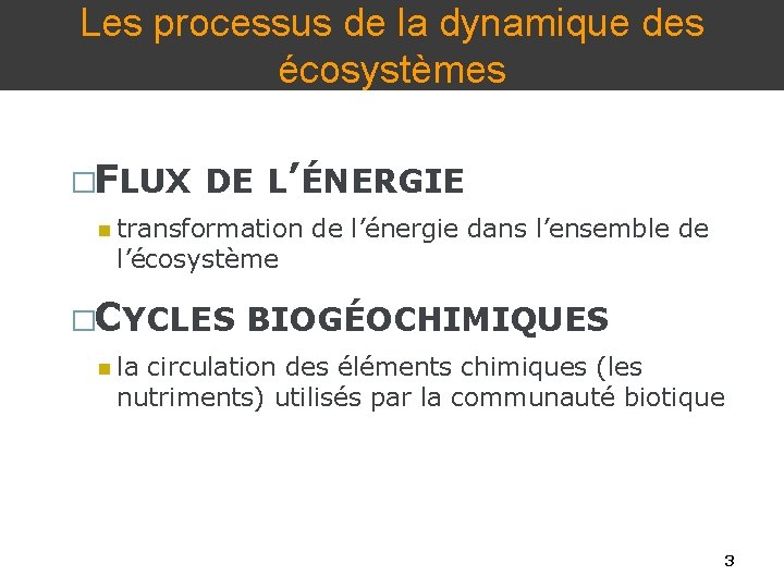 Les processus de la dynamique des écosystèmes �FLUX DE L’ÉNERGIE transformation de l’énergie dans
