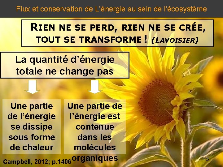 Flux et conservation de L’énergie au sein de l’écosystème RIEN NE SE PERD, RIEN