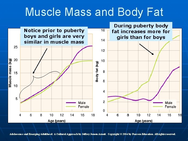 Muscle Mass and Body Fat Notice prior to puberty boys and girls are very