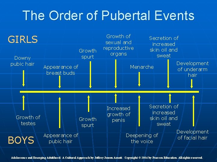 The Order of Pubertal Events GIRLS Downy pubic hair Growth spurt Appearance of breast