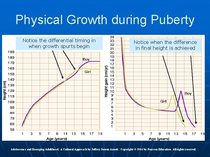 Physical Growth during Puberty Notice the differential timing in when growth spurts begin Notice