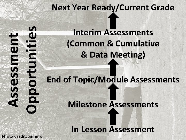 Assessment Opportunities Next Year Ready/Current Grade Photo Credit: Sammo Interim Assessments (Common & Cumulative Assessment Opportunities Next Year Ready/Current Grade Photo Credit: Sammo Interim Assessments (Common & Cumulative