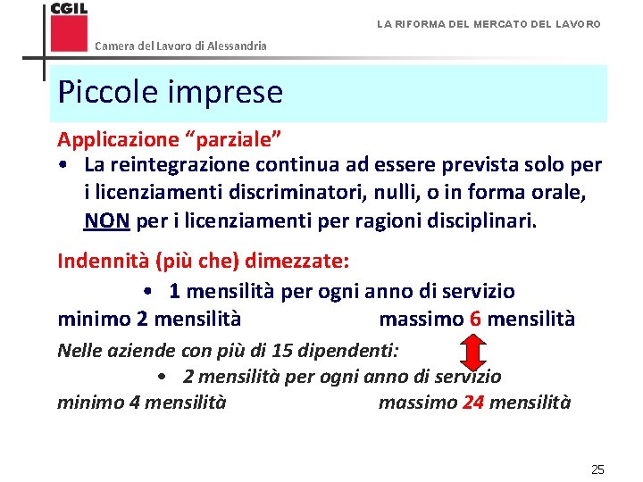 LA RIFORMA DEL MERCATO DEL LAVORO Camera del Lavoro di Alessandria Piccole imprese Applicazione