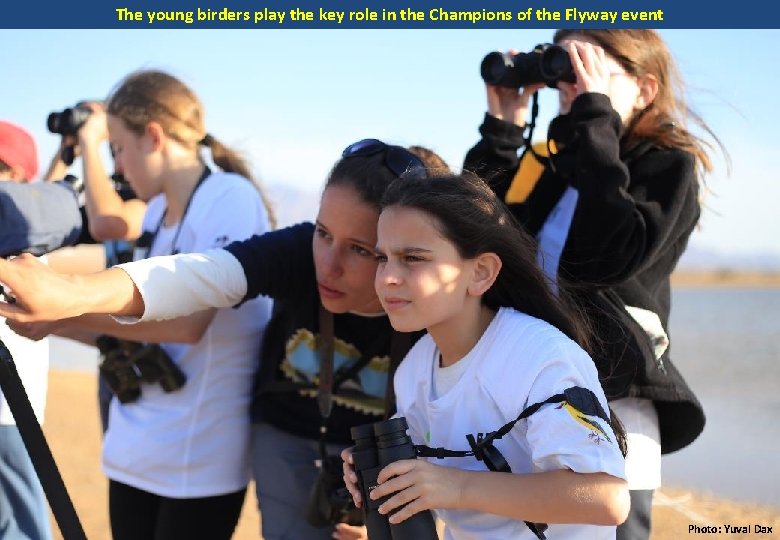 The young birders play the key role in the Champions of the Flyway event