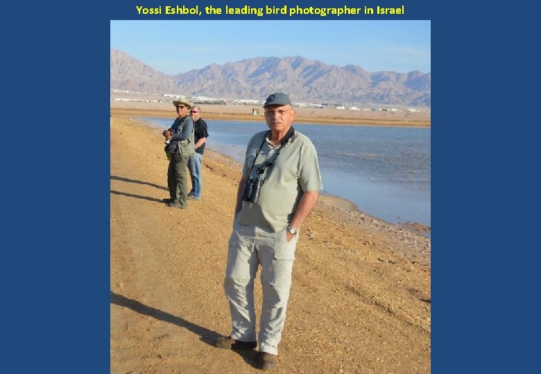 Yossi Eshbol, the leading bird photographer in Israel 