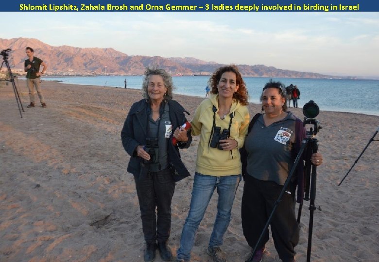 Shlomit Lipshitz, Zahala Brosh and Orna Gemmer – 3 ladies deeply involved in birding