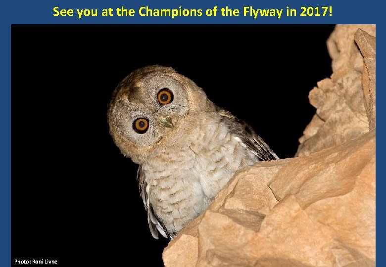 See you at the Champions of the Flyway in 2017! Photo: Roni Livne 