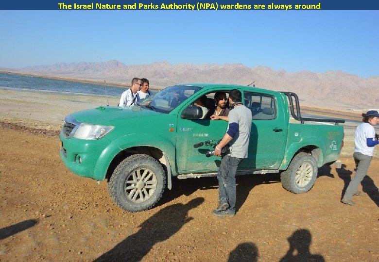 The Israel Nature and Parks Authority (NPA) wardens are always around 