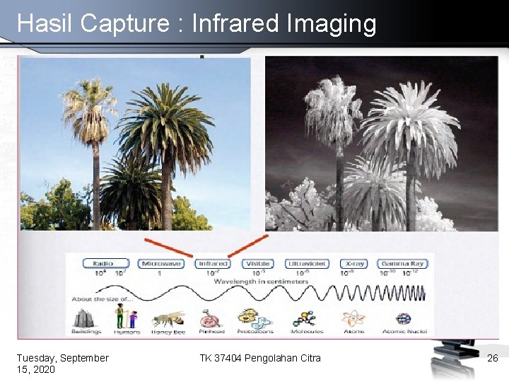 Hasil Capture : Infrared Imaging Tuesday, September 15, 2020 TK 37404 Pengolahan Citra 26