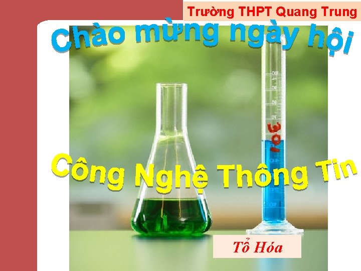 Trường THPT Quang Trung Tổ Hóa 