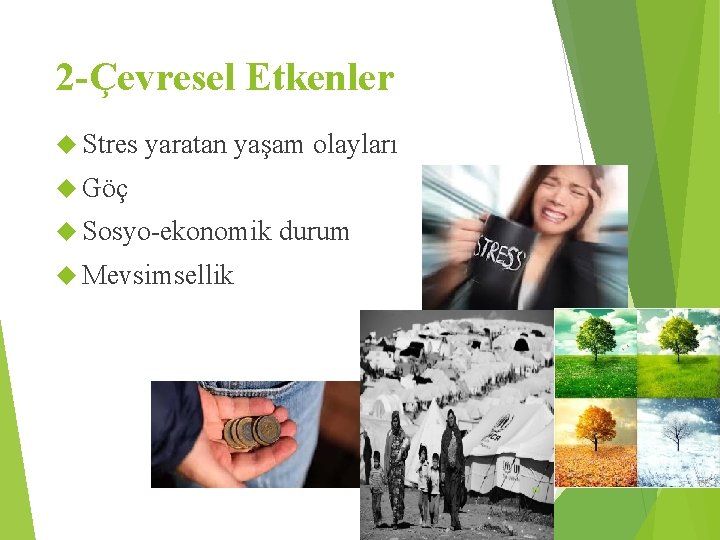 2 -Çevresel Etkenler Stres yaratan yaşam olayları Göç Sosyo-ekonomik durum Mevsimsellik 10 