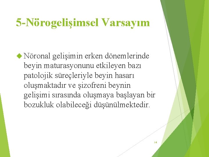 5 -Nörogelişimsel Varsayım Nöronal gelişimin erken dönemlerinde beyin maturasyonunu etkileyen bazı patolojik süreçleriyle beyin