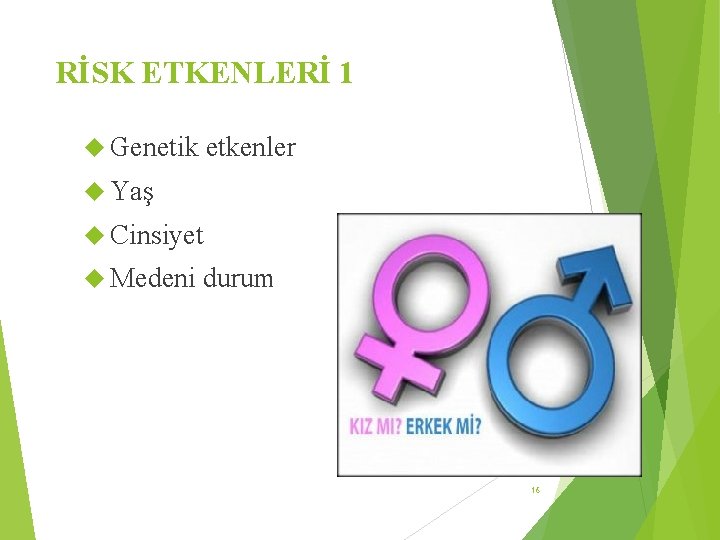 RİSK ETKENLERİ 1 Genetik etkenler Yaş Cinsiyet Medeni durum 16 