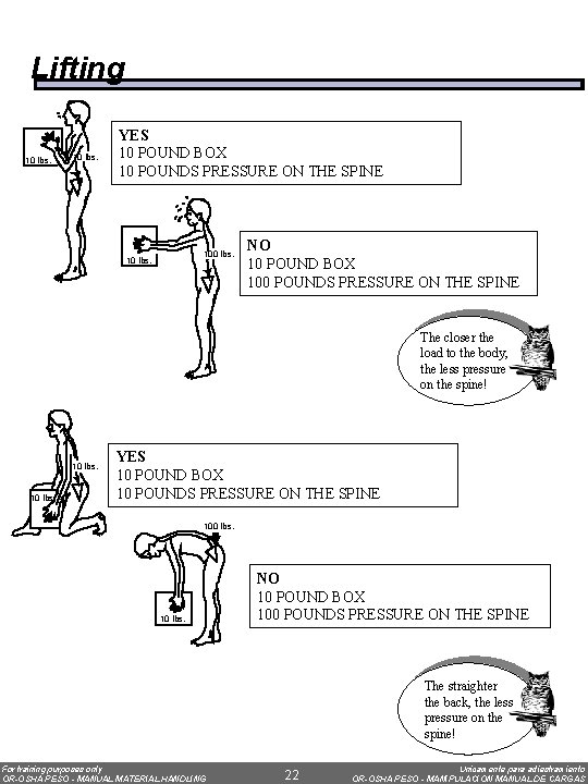 Lifting 10 lbs. YES 10 POUND BOX 10 POUNDS PRESSURE ON THE SPINE 100