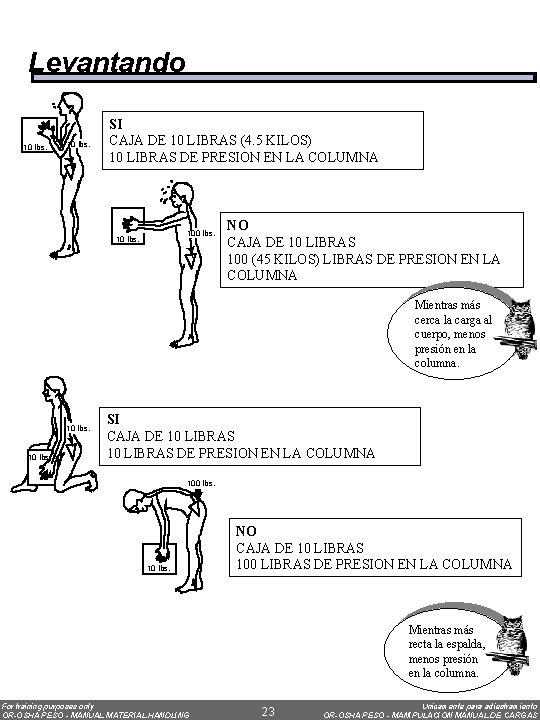 Levantando 10 lbs. SI CAJA DE 10 LIBRAS (4. 5 KILOS) 10 LIBRAS DE