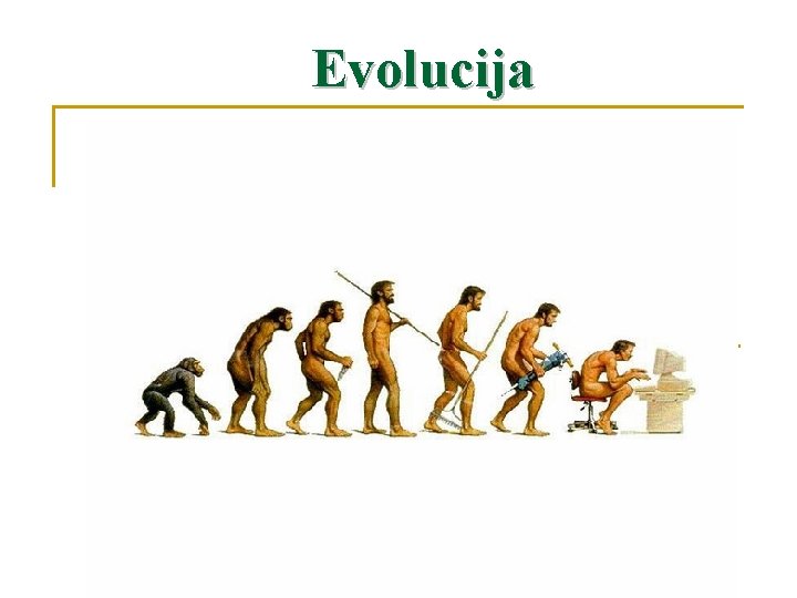 Evolucija 