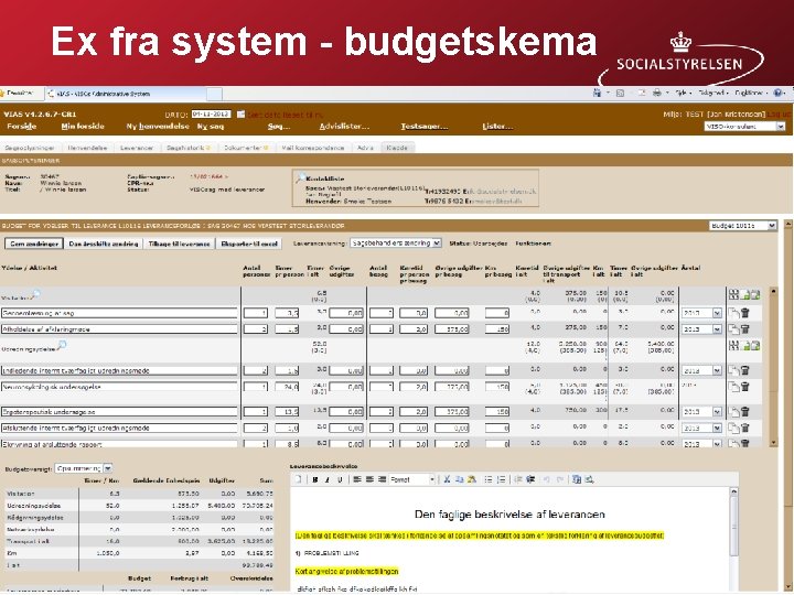 Ex fra system - budgetskema 