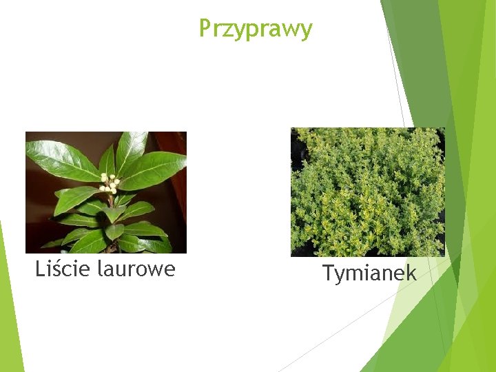 Przyprawy Liście laurowe Tymianek 