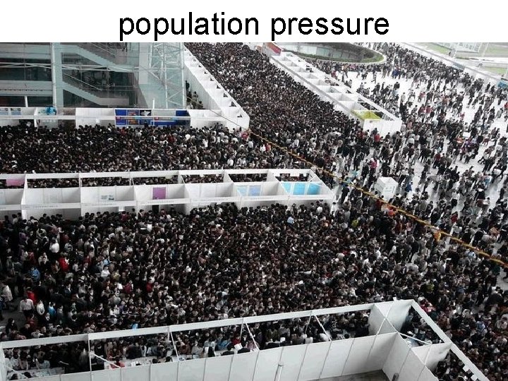 population pressure 