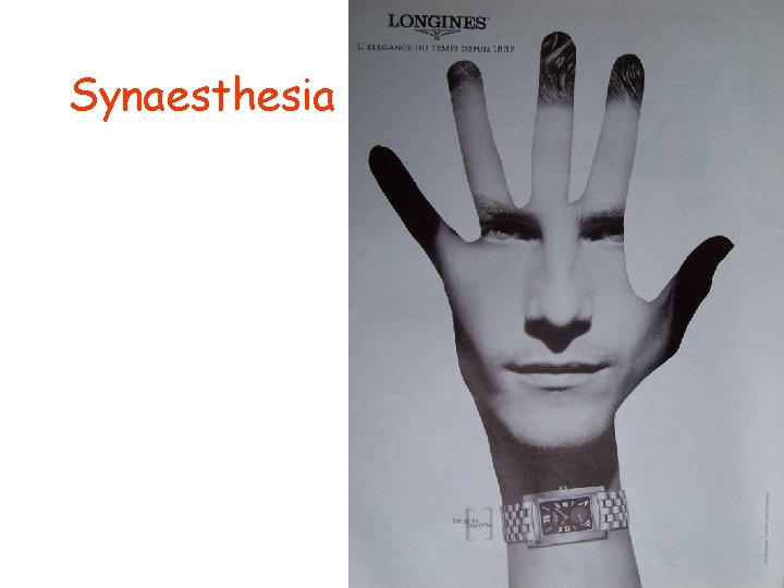 Synaesthesia 