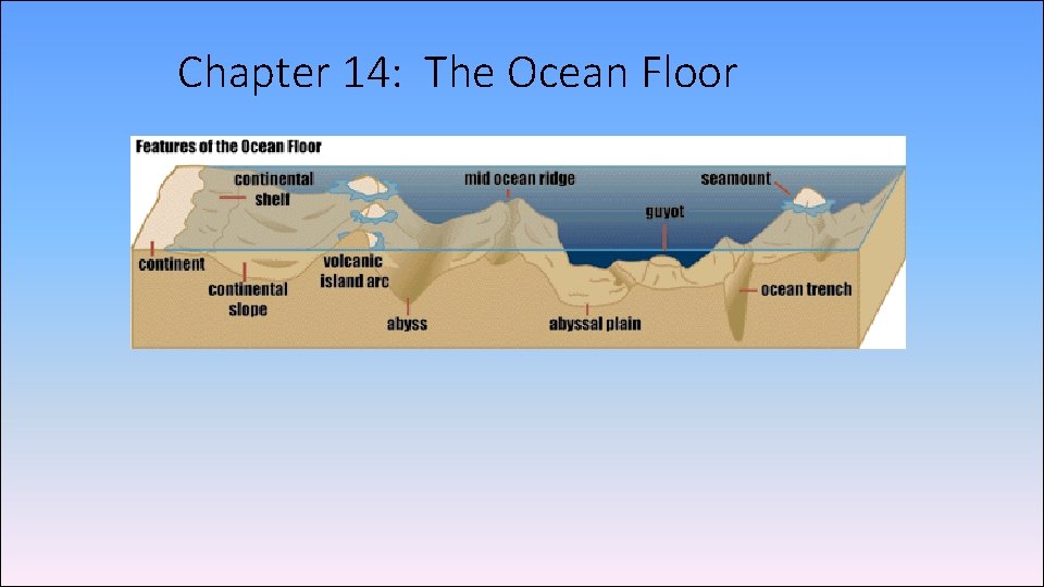 Chapter 14: The Ocean Floor Chapter 14: The Ocean Floor