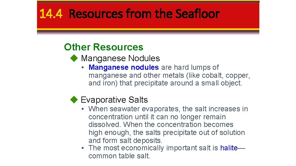 14. 4 Resources from the Seafloor Other Resources Manganese Nodules • Manganese nodules are 14. 4 Resources from the Seafloor Other Resources Manganese Nodules • Manganese nodules are