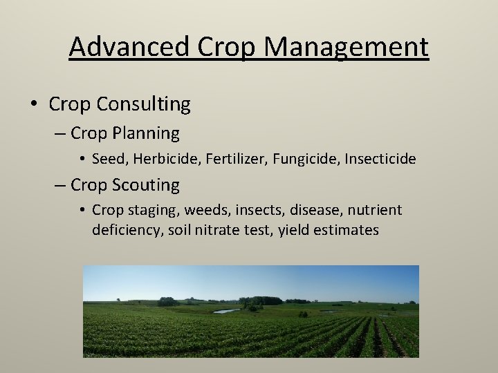 Advanced Crop Management • Crop Consulting – Crop Planning • Seed, Herbicide, Fertilizer, Fungicide,