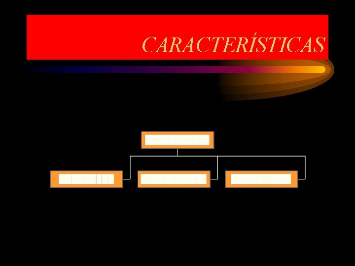 CARACTERÍSTICAS 