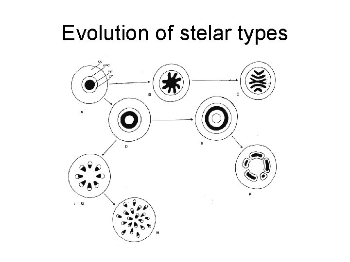 Evolution of stelar types 