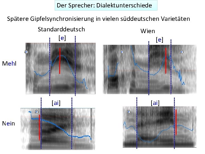 Der Sprecher: Dialektunterschiede Spätere Gipfelsynchronisierung in vielen süddeutschen Varietäten Standarddeutsch [e] Wien [e] Mehl