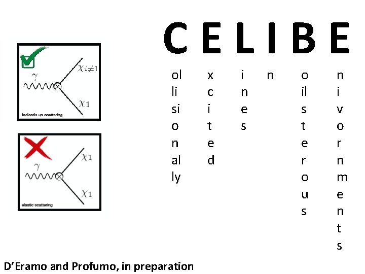CELIBE ol li si o n al ly D’Eramo and Profumo, in preparation x