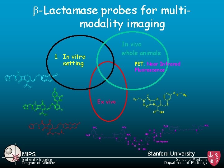 b-Lactamase probes for multimodality imaging In vivo whole animals 1. In vitro setting PET,